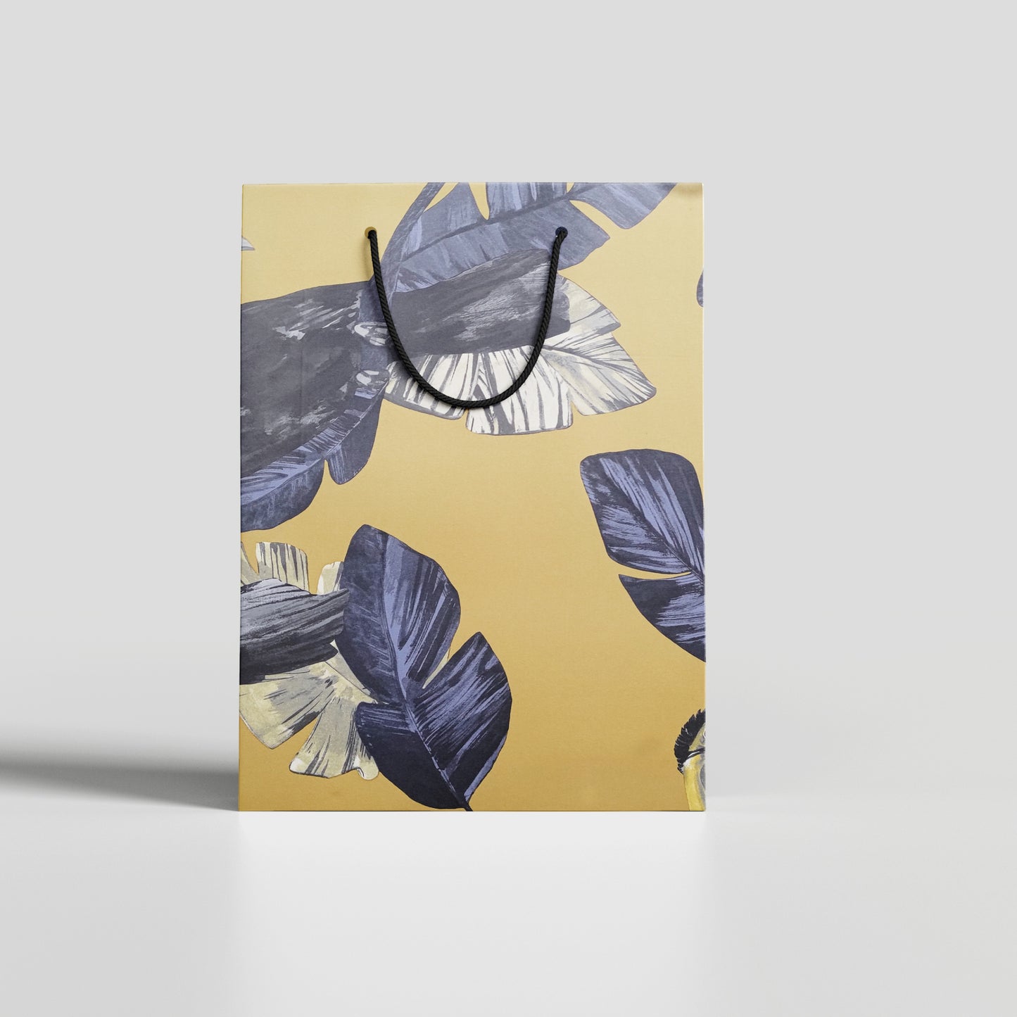 Premium Paper Bag | Size 10*14*4 inch